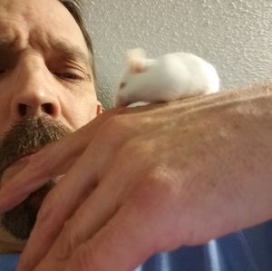 Meet your Posher, Todd